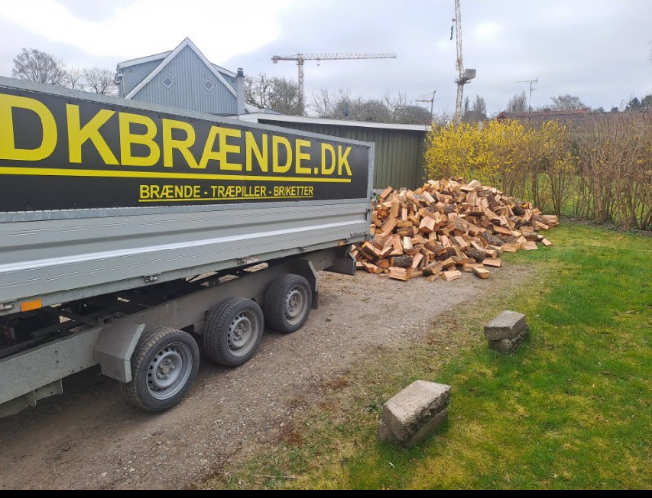 9 skrm lufttørret avnbøg + levering efter postnummer